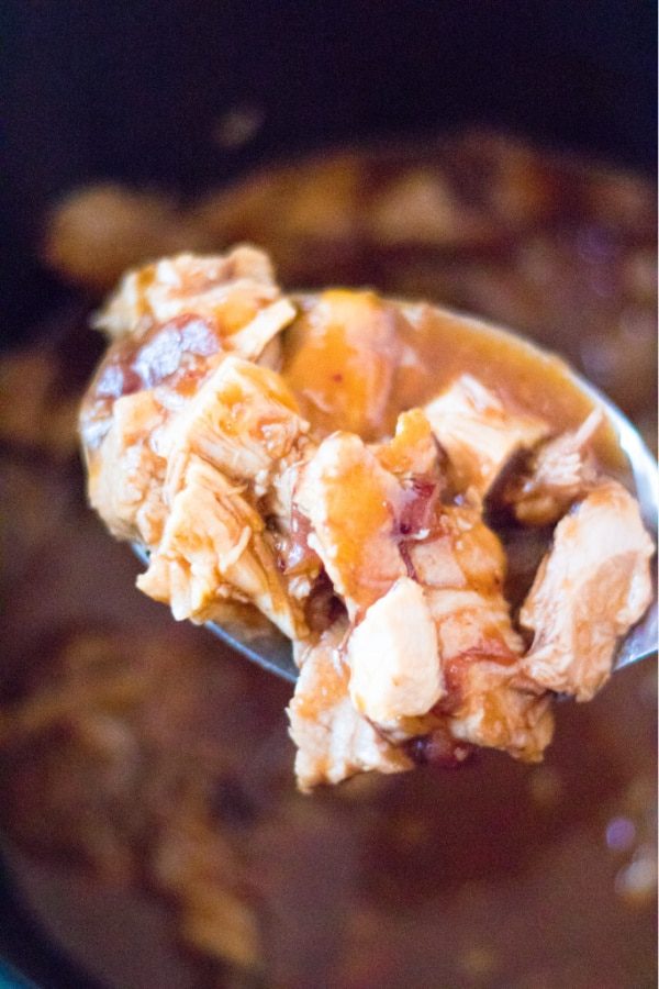 spoon with diced up bbq pork