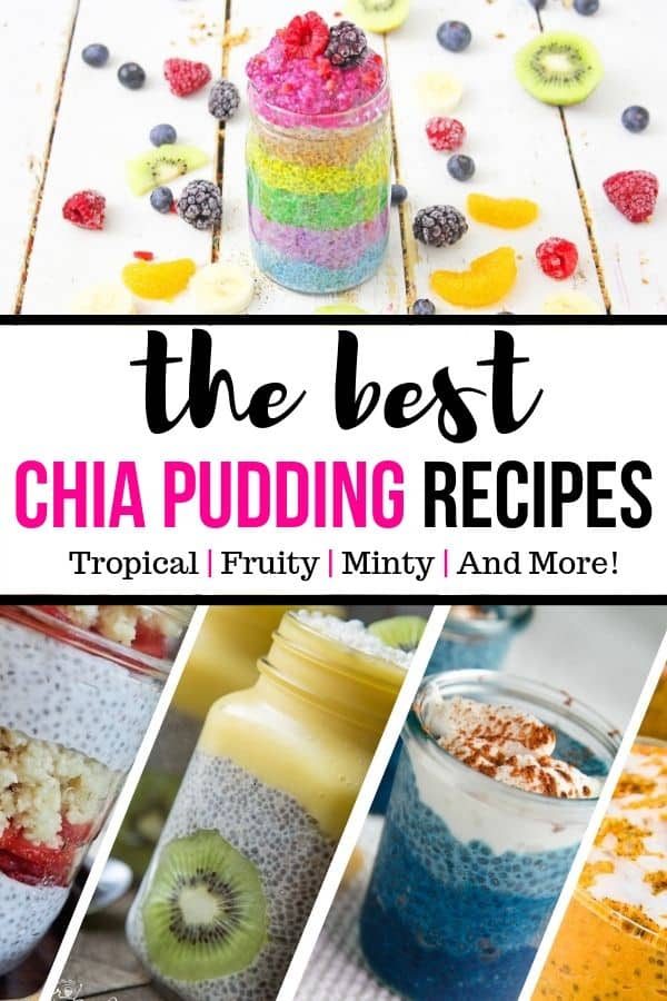 12 of The Best Chia Pudding Recipes