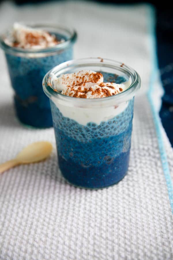 12 of The Best Chia Pudding Recipes
