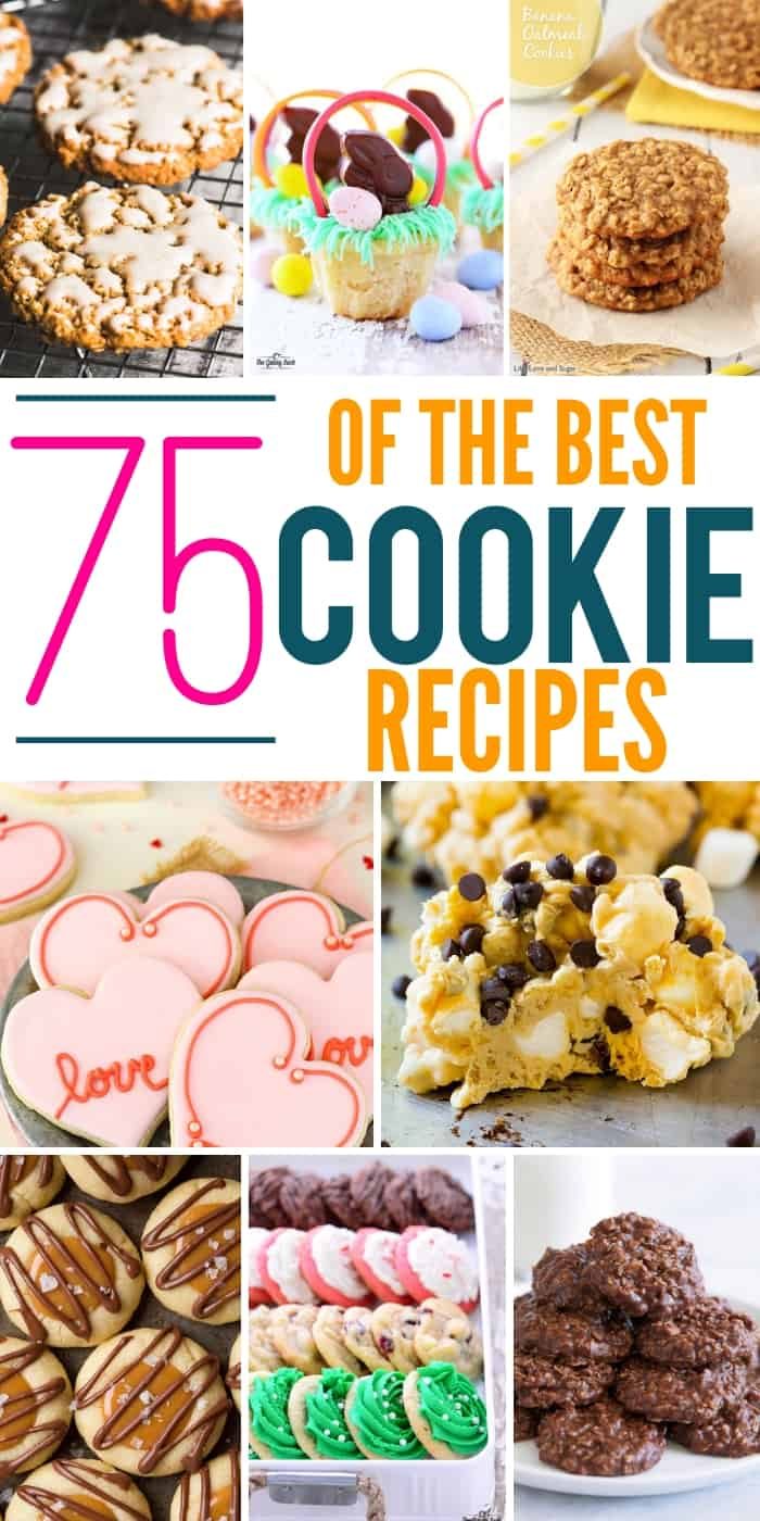 75+ Of The Best Cookie Recipes For Every Occasion
