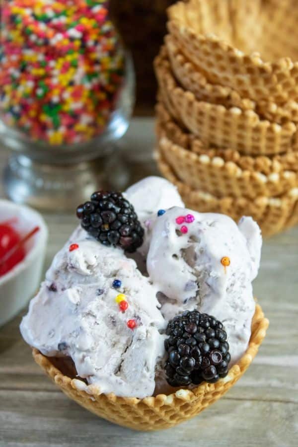 No Churn Blackberry Ice Cream