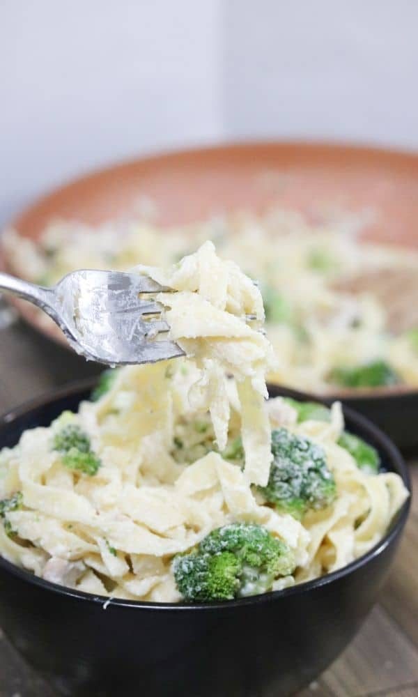 fork with twirl of pasta on fork 