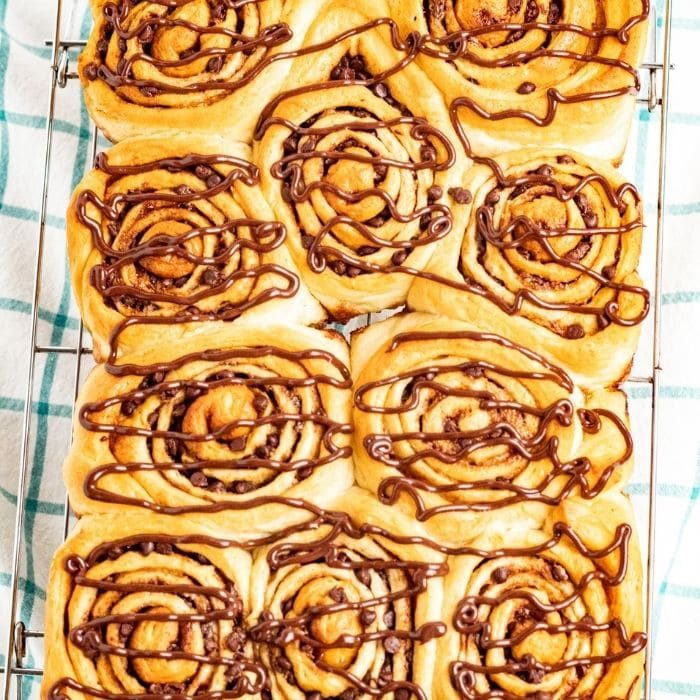 Chocolate Cinnamon Rolls with Chocolate Chips