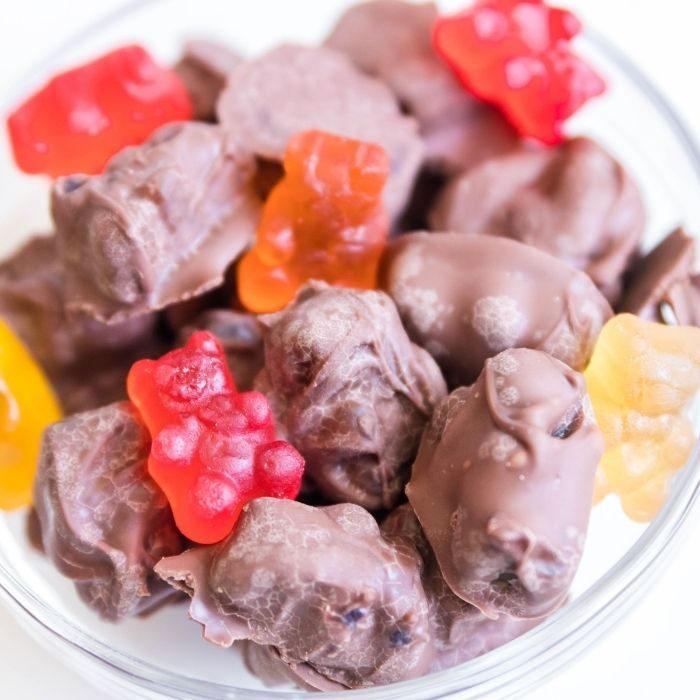 Chocolate Covered Gummy Bears