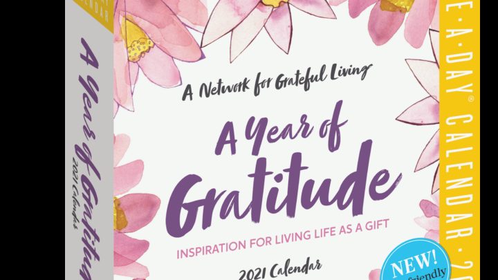 Christmas Gift Guide For The Whole Family