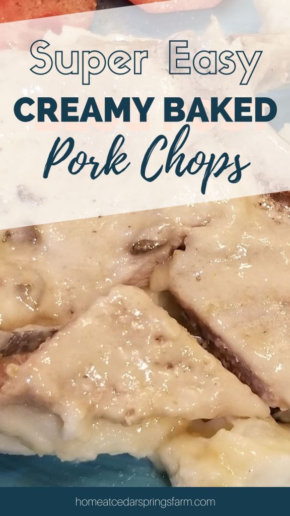 25 Lazy Day Meals That Start with Condensed Canned Soup