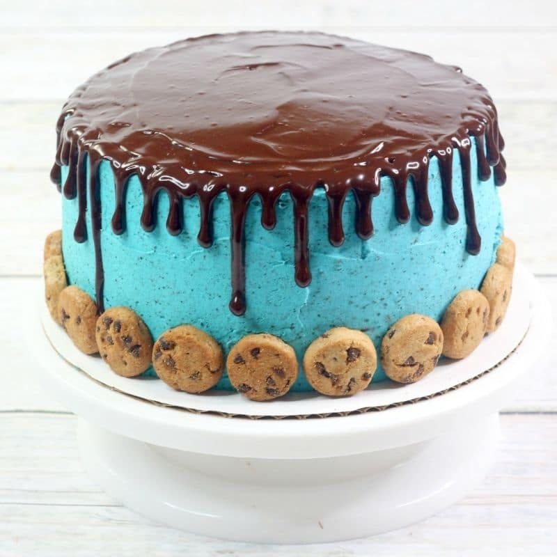 sesame street cake on a white cake stand