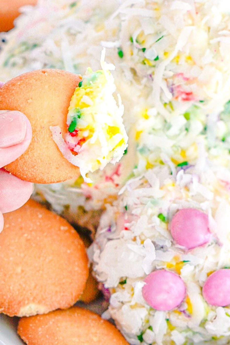 vanilla wafer with dessert cheeseball on it being held by hand