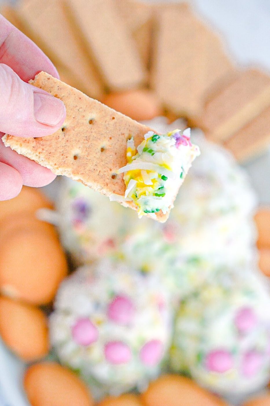 graham cracker with cheeseball on it above the bunny shaped dessert cheeseball