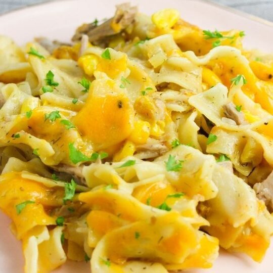 tuna casserole with noodles on a plate