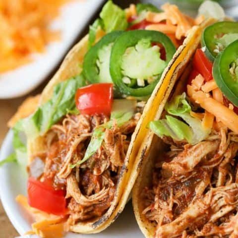 Frozen Chicken Instant Pot Recipes To Try
