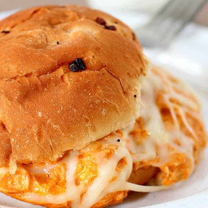 Frozen Chicken Instant Pot Recipes To Try