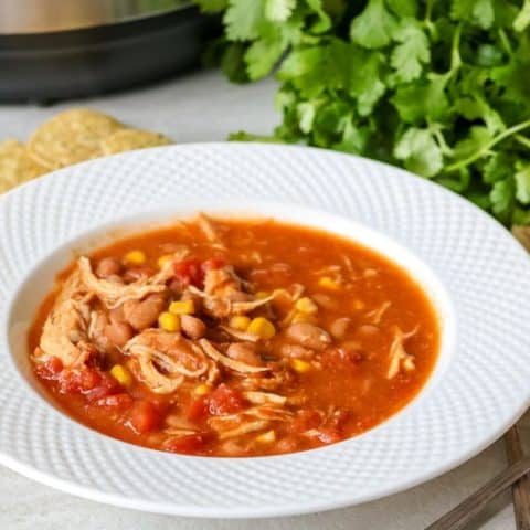 Frozen Chicken Instant Pot Recipes To Try
