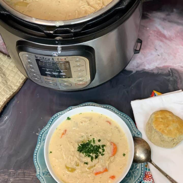 Frozen Chicken Instant Pot Recipes To Try