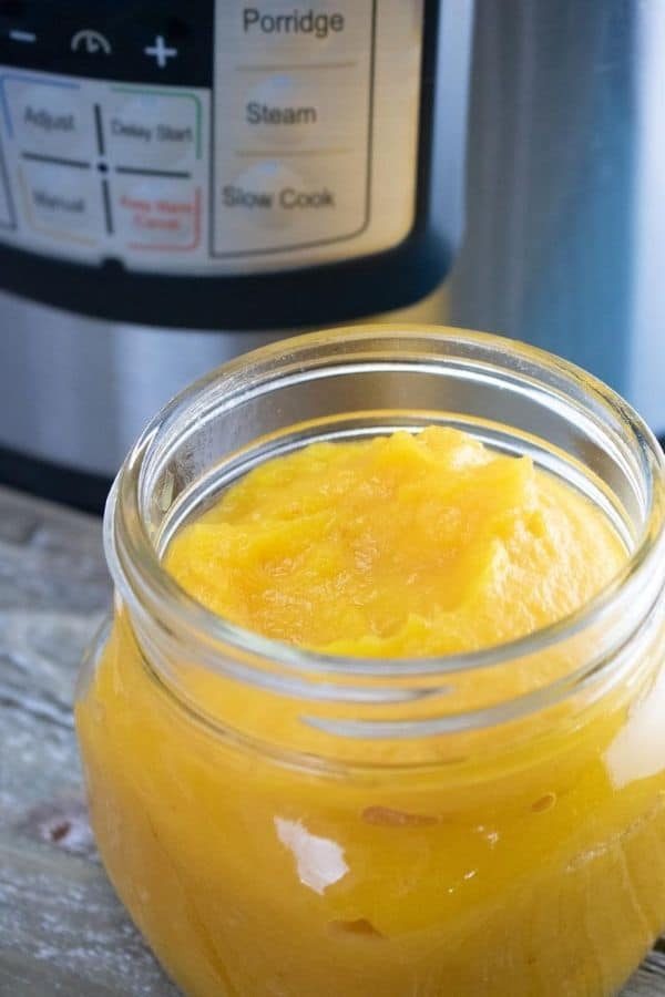 Instant Pot Homemade Pumpkin Puree