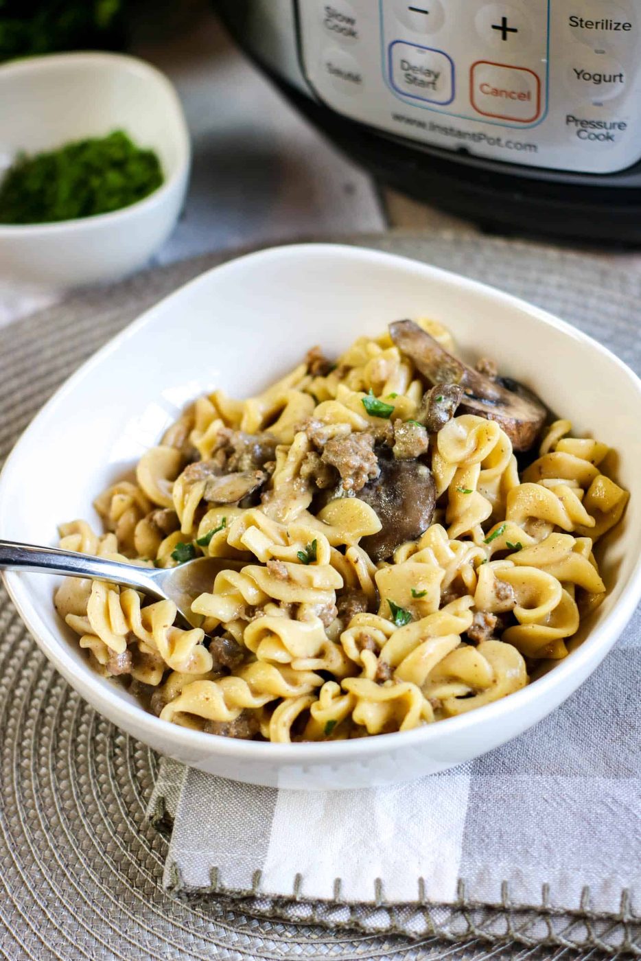 40+ Delicious Instant Pot Beef Recipes To Add To Your Menu
