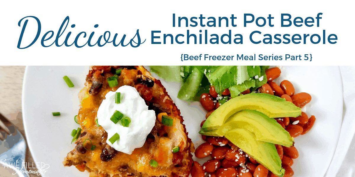 40+ Delicious Instant Pot Beef Recipes To Add To Your Menu