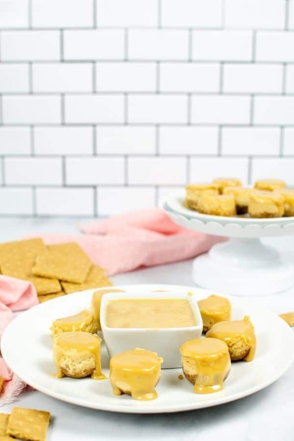 mini cheesecake bites on a plate