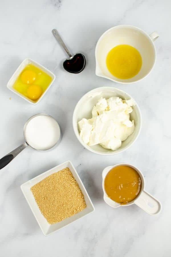 Mini Instant Pot Dulce De Leche Cheesecake Bites
