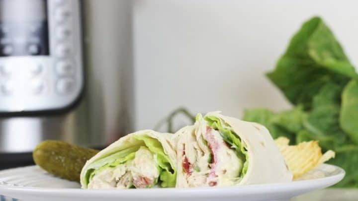 Instant Pot Freezer Meals