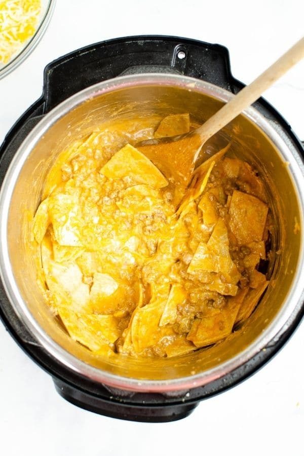 overview of Instant Pot