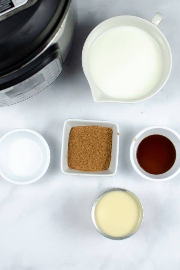 Instant Pot Peppermint Mocha Coffee Creamer