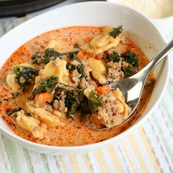 44 Of The Instant Pot Meals To Serve Up Your Family