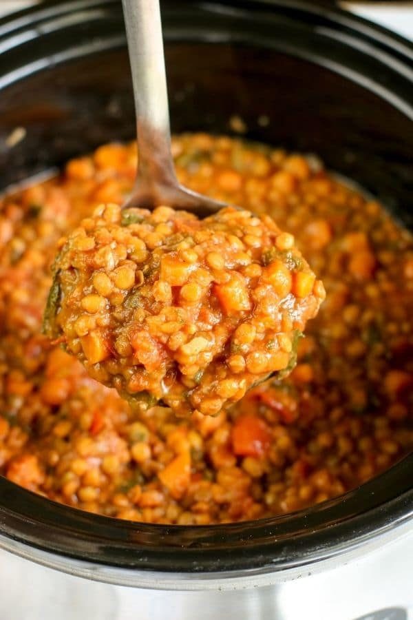 slow cooker lentil soup