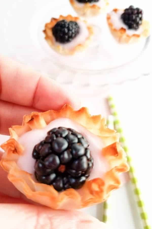 blackberry fruit tarts