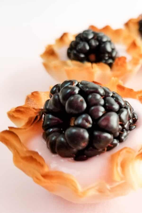 3 Ingredient Mini Fruit Tart and Yogurt