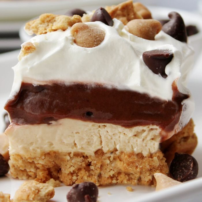Peanut Butter Dream Bars