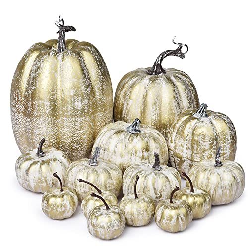 Thanksgiving Holiday Gift Guide