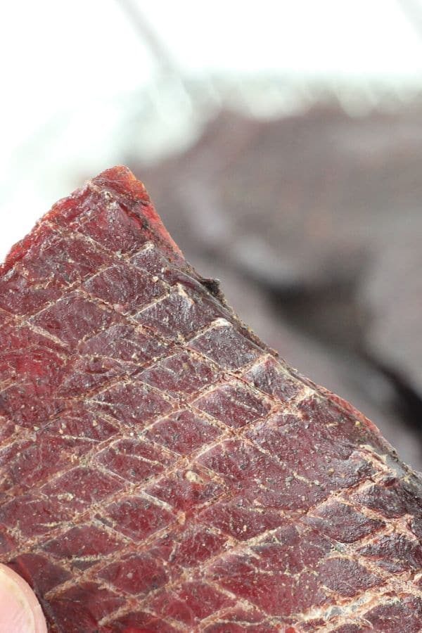 holding a piece of venison jerky in hand