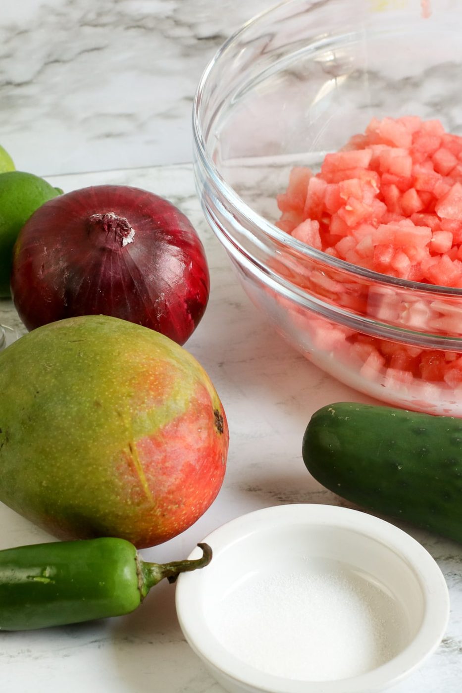 Fresh Watermelon Salsa