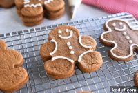 Velvet Spiced Gingerbread Delights