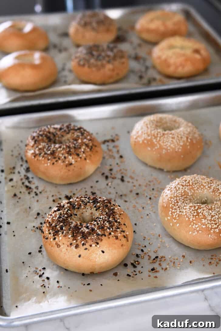The Ultimate Homemade Bagel Recipe 12 Two pans of baked homemade bagels topped sesame seeds and everything bagel seasoning.