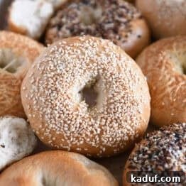 The Ultimate Homemade Bagel Recipe 14 Lots of homemade bagels together on baking sheet with the center bagel loaded with sesame seeds.