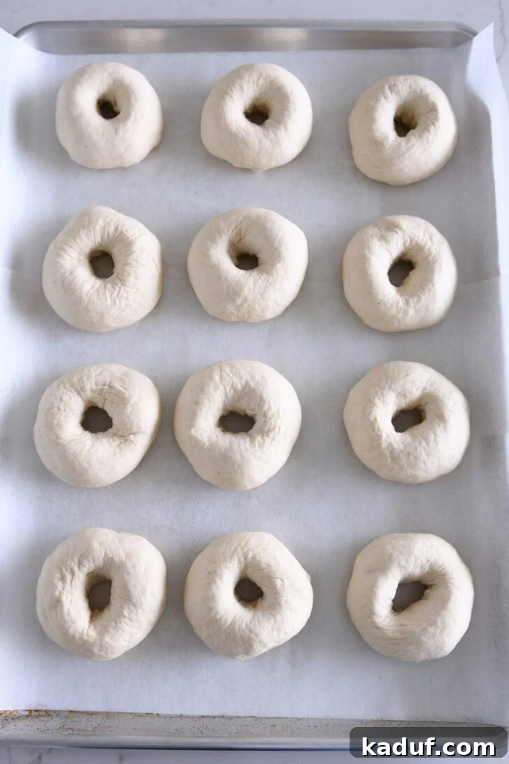 The Ultimate Homemade Bagel Recipe 7 Top down view of 12 bagel shaped dough pieces on parchment lined baking sheet.