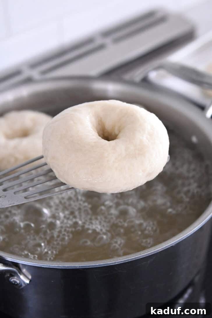 The Ultimate Homemade Bagel Recipe 9 Lifting boiled bagel out of the water with stainless spatula.