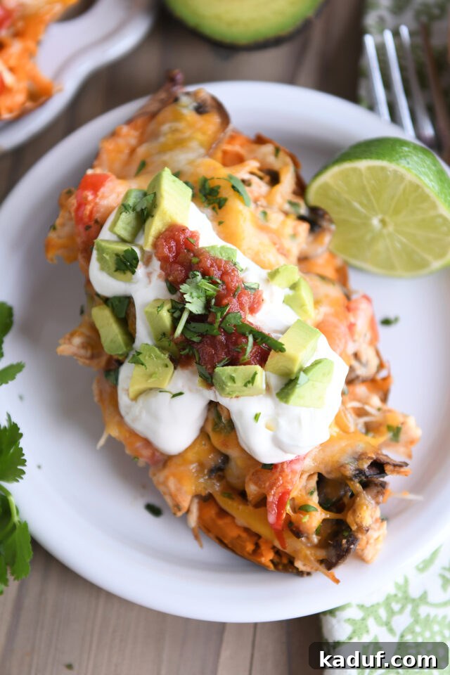 Top down view of sweet potato loaded with chicken, veggies, sour cream, salsa, and avocado.