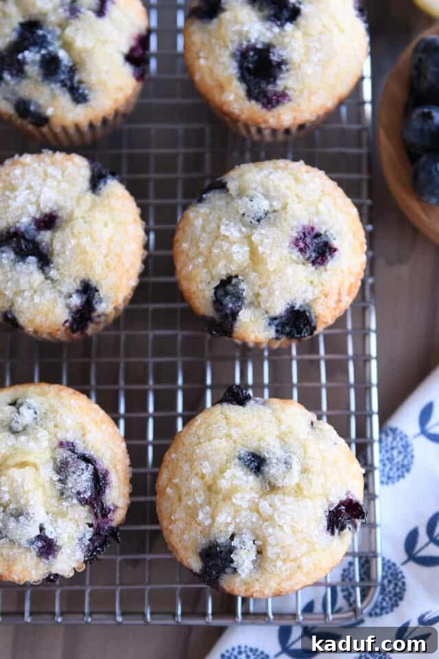 Ultimate Blueberry Muffins 2 Six perfectly baked blueberry muffins cooling on a wire rack, showcasing their golden-brown tops and plump blueberries.