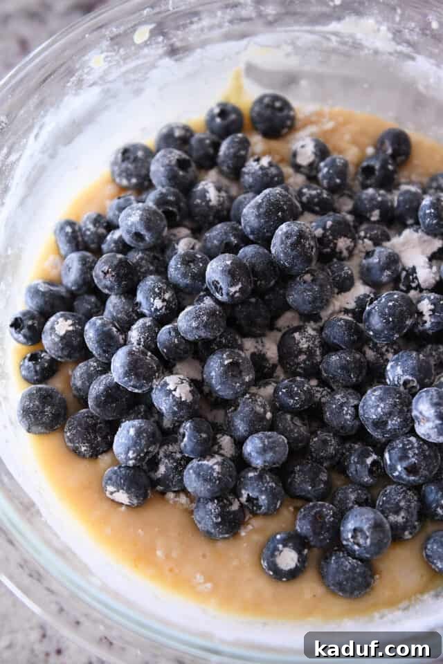 Ultimate Blueberry Muffins 4 Flour-dusted blueberries in a bowl of muffin batter, ready for a gentle fold to ensure even distribution.
