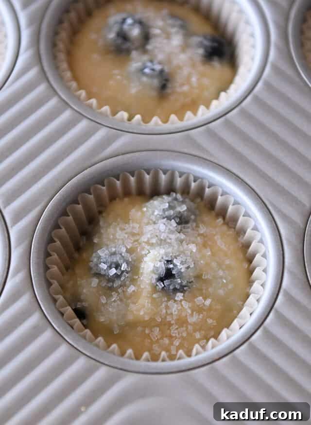 Ultimate Blueberry Muffins 6 Muffin batter in paper-lined muffin cups, topped generously with coarse sugar, ready for baking.