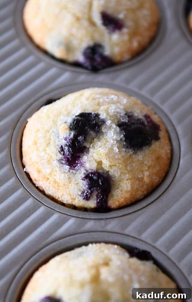 Ultimate Blueberry Muffins 7 A perfectly baked blueberry muffin still in its paper liner, nestled in a light-colored muffin tin, glistening golden.