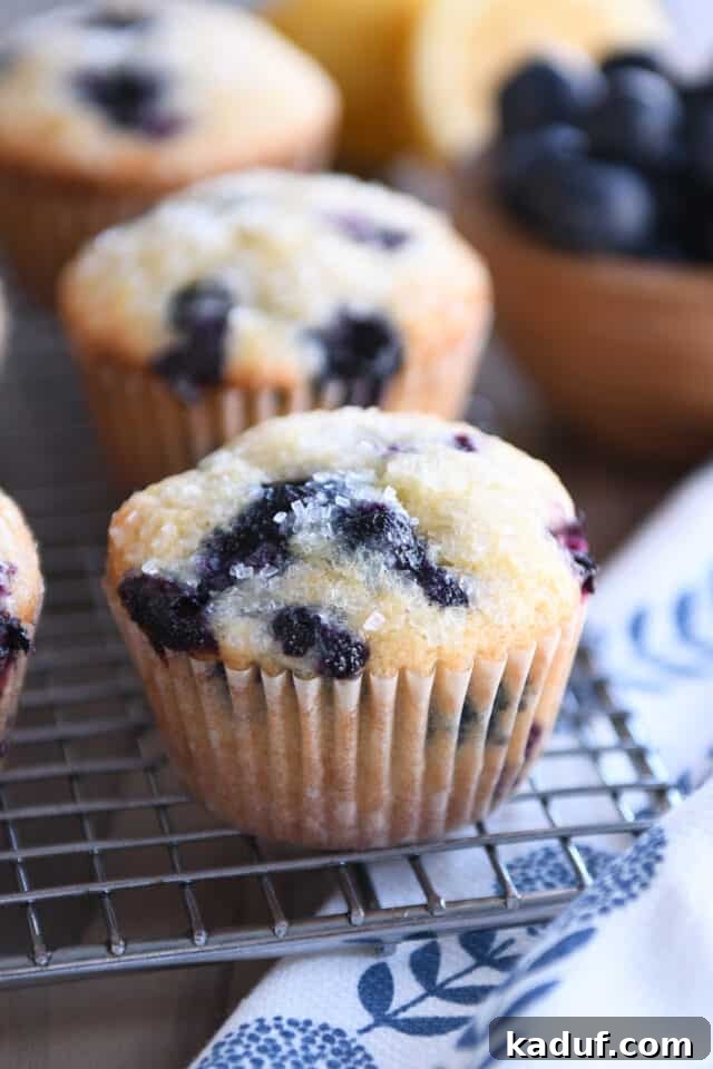 Ultimate Blueberry Muffins 8 A single, beautifully baked blueberry muffin with a crunchy top, cooling on a metal wire rack.