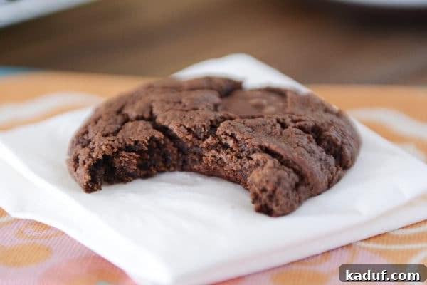 Camp Kitchen Secrets Menus Tips and Resources for Feeding Big Groups 5 Egg-Free Double Chocolate Cookies