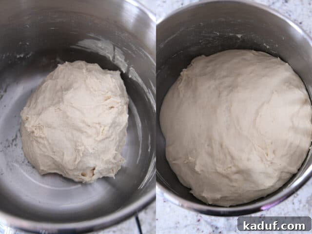 French Chocolate Swirl Bread 3 Bread dough rising in a stainless steel bowl, perfectly proofed and ready for shaping.