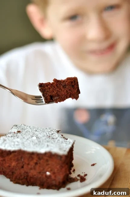 Jackson's Whimsical Wonder Cake 2 A piece of powdered sugar dusted cake with a little boy behind it holding a bite of the cake on his fork.
