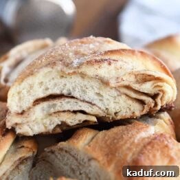 Flaky Cinnamon Croissant Swirl 23 A single, perfectly baked piece of cinnamon sugar twisted croissant bread, highlighting its golden exterior and delicate texture.