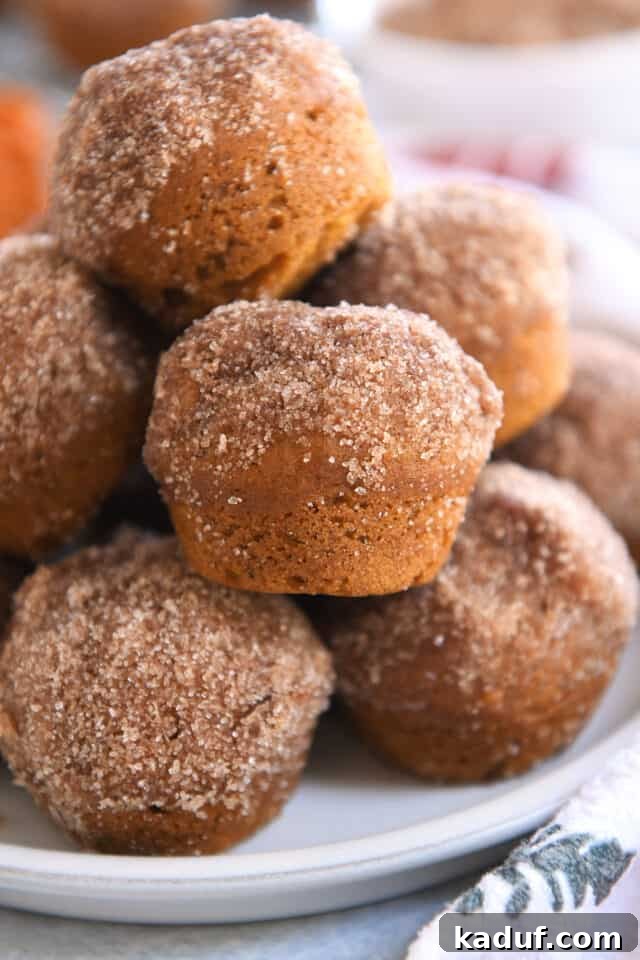 Pumpkin Donut Muffin Bites 2 Several golden-brown mini pumpkin donut muffins stacked artfully on a white plate, showcasing their delightful cinnamon-sugar coating.